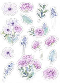 watercolor flowers stickers on a white background