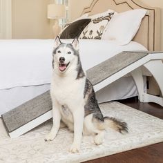 a husky dog sitting on top of a rug in front of a bed