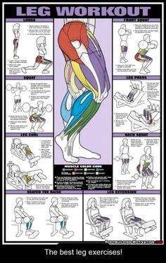 a poster with instructions on how to do an arm curl