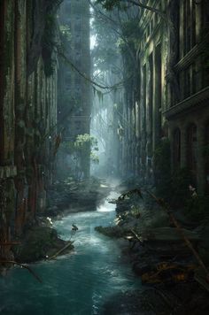 a river running through a forest filled with tall buildings