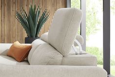 a white couch sitting in front of a window next to a potted plant