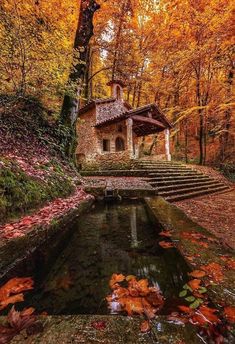 an old house in the woods surrounded by autumn leaves