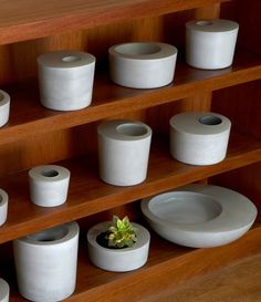 there are many white vases and bowls on the shelf with one plant in it