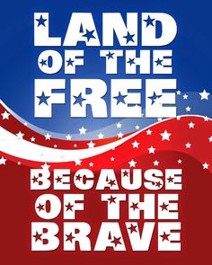 an american patriotic poster with the words land of the free because of the brave on it