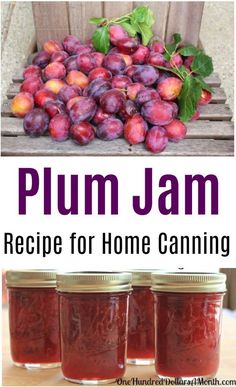 plum jam recipe for home canning