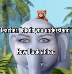 an elephant that is sitting on top of a woman's head with the words teacher, ok do you understand? how i look at her