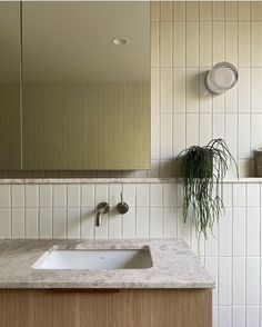 a bathroom sink sitting under a mirror next to a wall mounted faucet with a plant on it