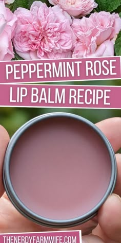 Here's how to turn roses into a homemade lip balm that's naturally flavored with peppermint essential oil! Peppermint Rose, Lip Balm Recipe, Balm Recipe, Herbal Medicine Recipes, Salve Recipes, Rose Lip, Herbal Remedies Recipes