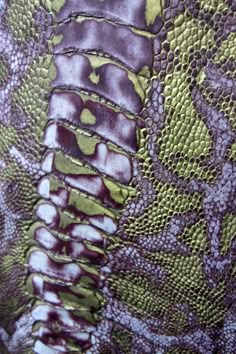 the back of a green and purple snake skin print jacket with an intricate pattern on it