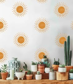 many potted plants and cactuses on a table in front of a wall with sun stencils