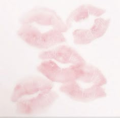 four pink lipstick kisses on a white background