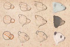 the drawing shows different shapes and sizes of fish, including an animal's head