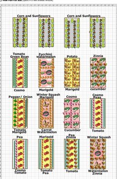 an image of different types of flowers and plants in the same pattern, each with their own name