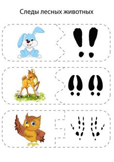 an animal themed cut out with the words creap pictures and symbols below it