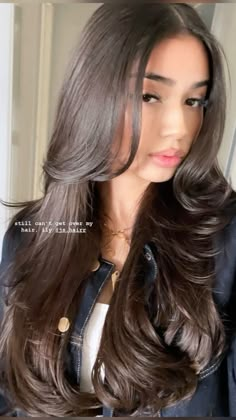 Dark Hair 90s Layers, Kendall Jenner Layered Hair, Jet Black Long Hair With Layers, Straight Haircut With Layers, Layered Haircuts Straight Hair, Rich Girl Blowout, Long Brown Hair Coquette, Haircuts For Long Hair With Layers