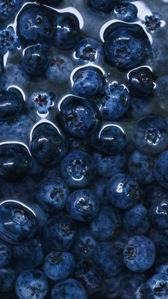 some blueberries are sitting in the water and they look like they have been washed