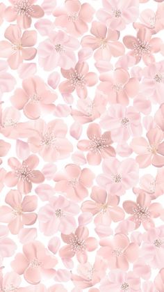 pink flowers on a white background with lots of small petals in the shape of hearts