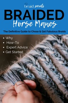 the front cover of braided horse manes