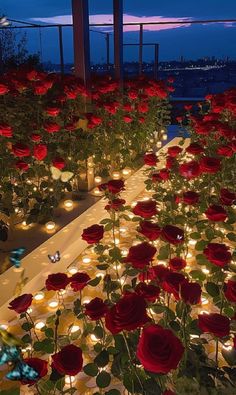 many red roses are lit up by candles in the middle of a room filled with flowers