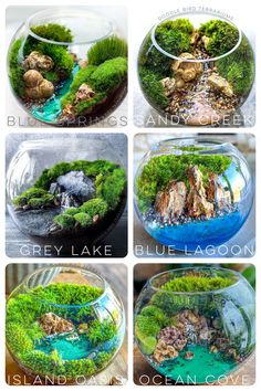 four different views of an aquarium with moss and rocks in it, including the water