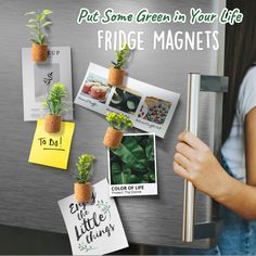 Plant Fridge Magnets-Mini Succulent Magnets Artificial Plants Refrigerator Magnets Potted Succulent Plants Magnet Stickers Cute for Magnet Boards Succulent Magnets, Magnet Boards, Fake Plants Decor, Fridge Decor, Fake Succulents, Flower Magnets, Kitchen Magnet, Mini Succulents, Artificial Succulents