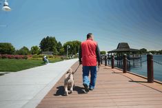 a man walking his dog on a boardwalk near the water