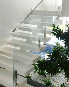 an indoor stair case with glass railings and plants