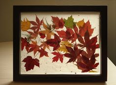 an image of autumn leaves on display in a frame