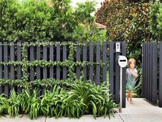 Dark picket fence hedge and agapanthus Front Fences, Pagar Modern, Black Fence, Front Fence, Yard Fence, Garden Vines, Front Yard Fence, Modern Fence