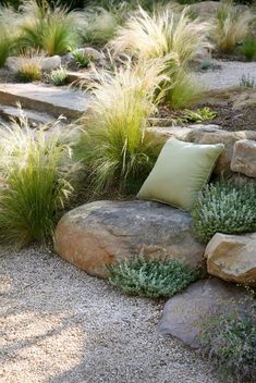 some rocks and plants in the middle of a garden with grass growing on top of them