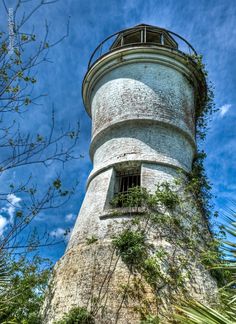 an old light house surrounded by trees and plants