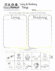 the worksheet for living and nonliving with pictures to be displayed on it