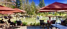 people sitting at tables under umbrellas near a pond