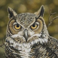 an owl with yellow eyes is sitting on a branch