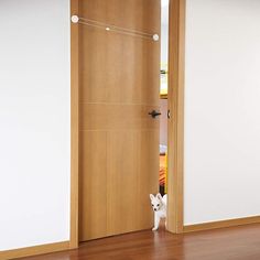 a small white dog standing in front of an open door