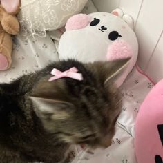 a cat sitting on top of a bed next to stuffed animals