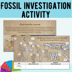 Elevate your middle school science curriculum with our engaging Fossil Investigation Activity, designed to introduce students to evidence of evolution! Aligned with NGSS standard NGSS.MS-LS4-1, this interactive digital activity is perfect for grades 6-8 and requires no preparation. Students embark on an imaginary fossil hunt, guided by a script read by the teacher. As they "discover" fossils of an unknown creature, students reconstruct the organism, with their interpretations evolving as new pie Evidence Of Evolution, Evolution Activities, Middle School Chemistry, Story Telling Activities, Introduction Activities, Science Curriculum, Writing Tasks, Grade 6, Scientific Method