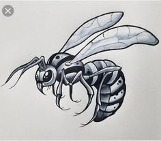 a drawing of a bee with black and white lines on it's back side