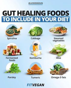 Gut Healing Foods, Healthy Gut Diet, Prebiotic Foods, Gut Health Diet, Gut Healing Recipes, Gut Health Recipes, Healing Foods, Healing Recipes, Probiotic Foods