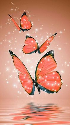 three orange butterflies flying over water with sparkles in the sky behind them and on top of each other