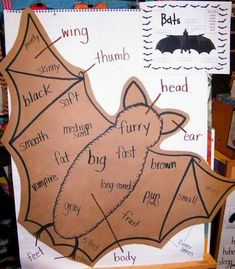 a paper cut out of a bat with words written on it, and other pictures in the background