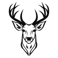 a deer's head with large antlers on the front and side, black and white