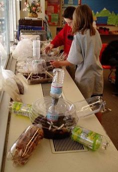 Two students work on their biodome. Nearby are unique model biodome designs, all made with conjoined clear plastic bottles and trays. Science Club, 4th Grade Science, Stem Challenge, 6th Grade Science, Science Fair Projects, Science Resources, Elementary Science, Homeschool Science, Middle School Science