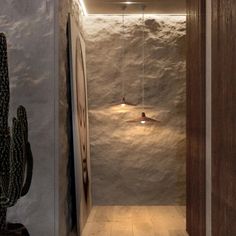 a long hallway with a cactus hanging from the ceiling next to a painting on the wall