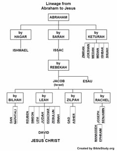 the family tree for jesus's birth is shown in this diagram, which shows his name