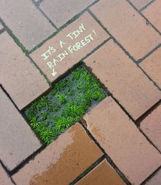 a small hole in the ground that has grass growing out of it with words written on it