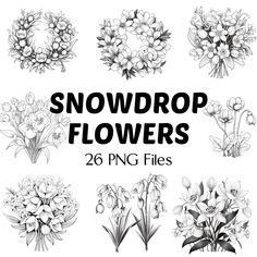 snowdrop flowers in black and white with the words 20 png files on it