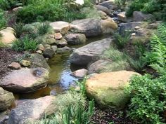 a small stream running through a lush green forest filled with lots of rocks and plants