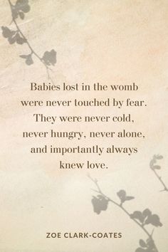 a quote from the book babies lost in the world were never touched by fear