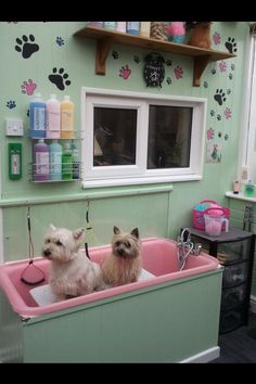 two small dogs sitting in a pink bath tub